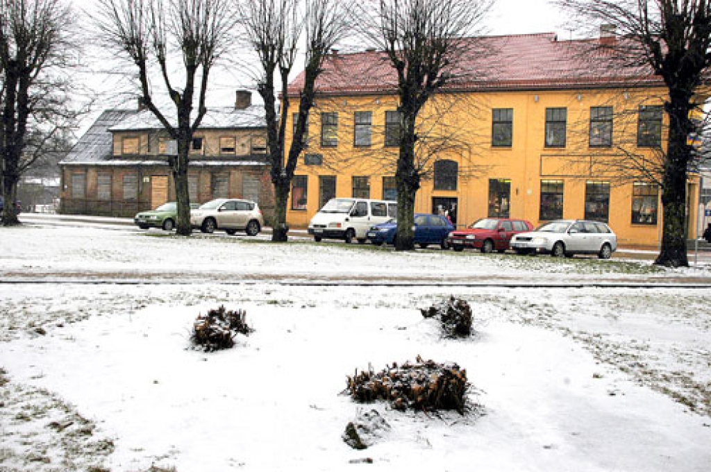 Saules dārzā Bauskā no kuplā jasmīnu krūma ir palikuši tikai celmiņi.
Autors: Ivars Bogdanovs