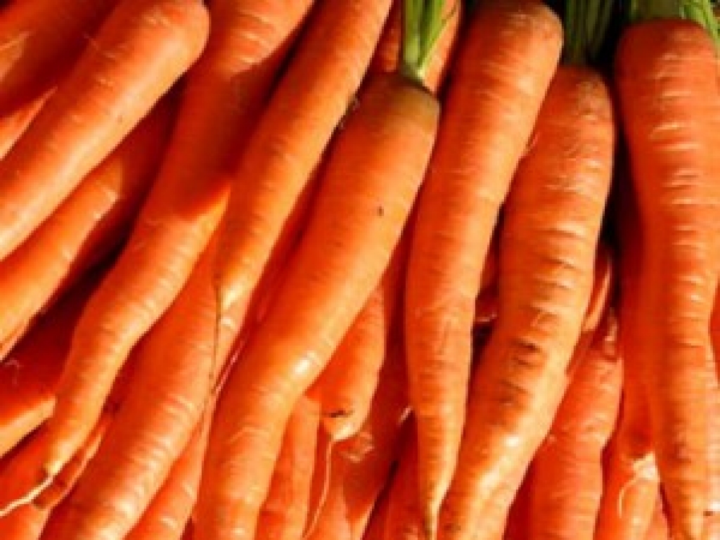 Fotoattēlam ilustratīva nozīme.