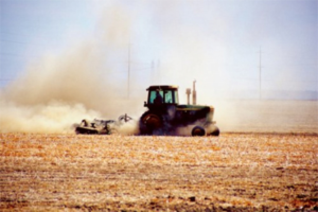 Fotoattēlam ilustratīva nozīme.
Autors: www.agropols.lv