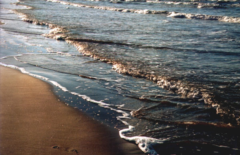 Fotoattēlam ilustratīva nozīme.
Autors: www.lps.lv