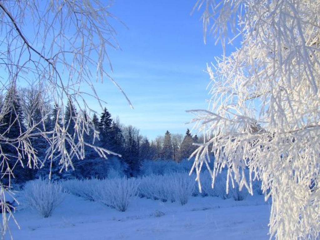 Autors: www.diena.lv