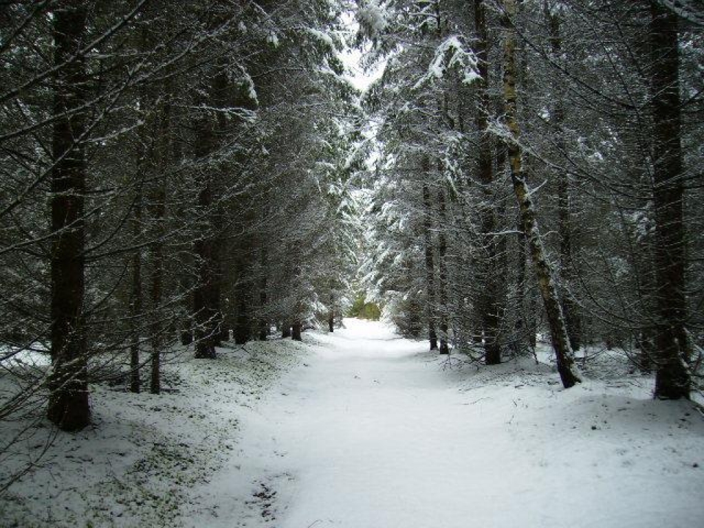 Fotoattēlam ilustratīva nozīme.
Autors: www.poga.lv