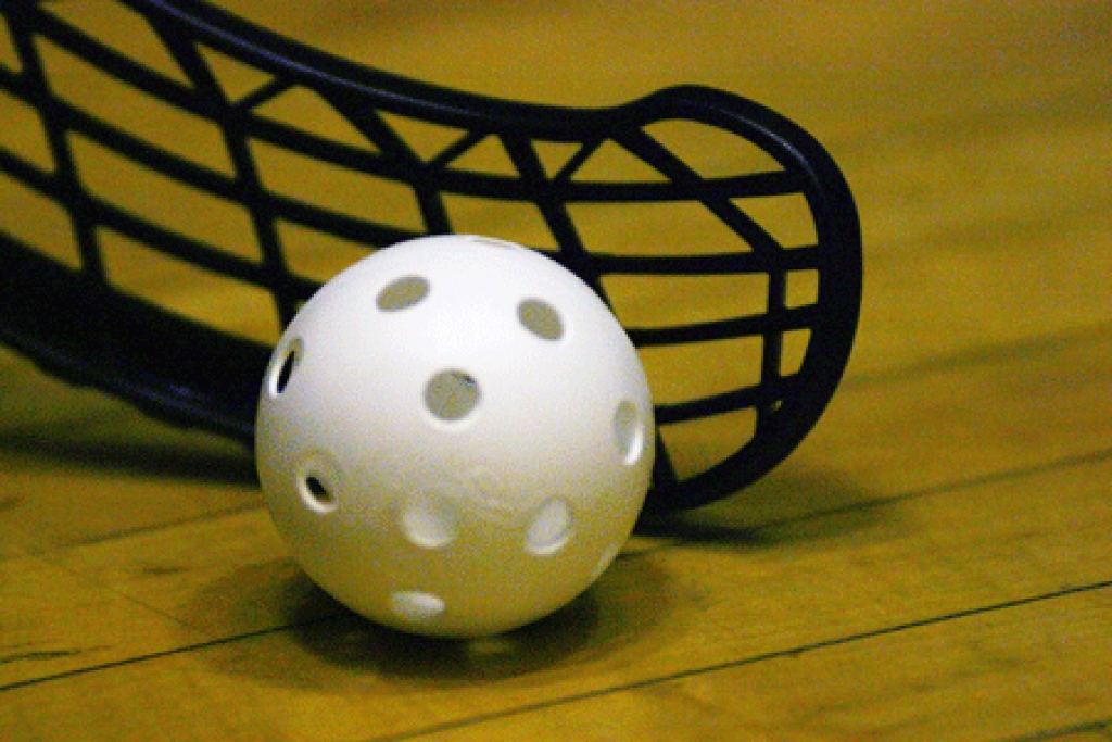 Attēlam ir tikai ilustratīva nozīme
Autors: no floorballontario.com