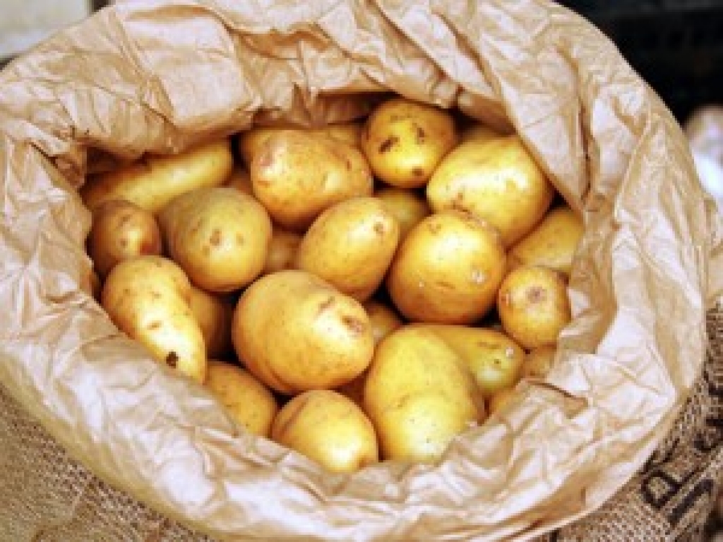 Attēlam ir ilustratīva nozīme.
Autors: www.apollo.lv