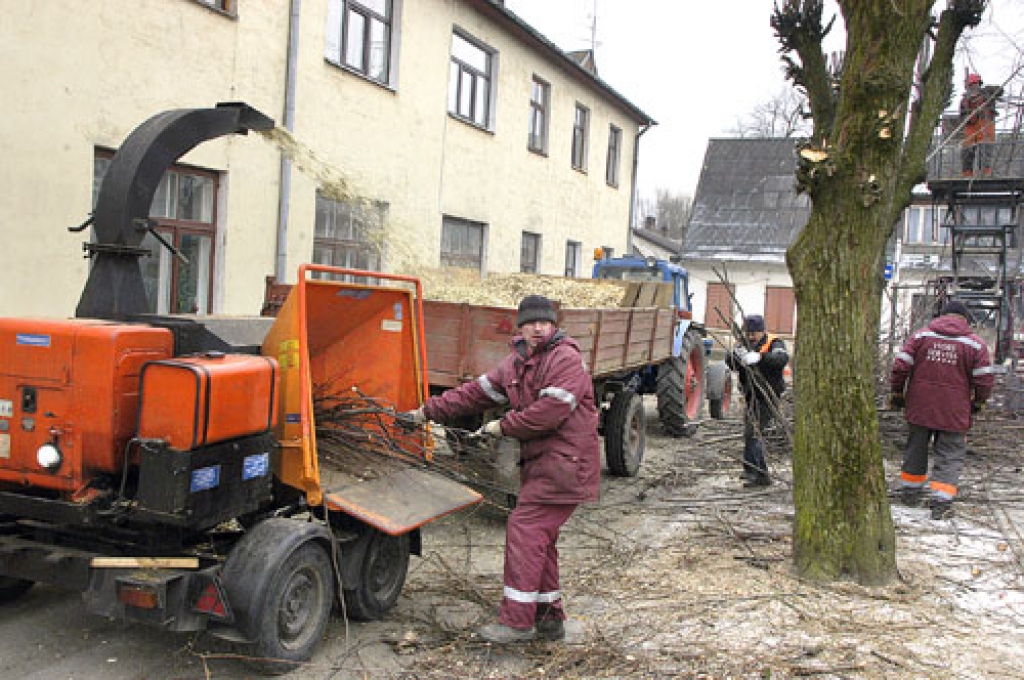 SIA «Vides serviss» iegādātais mulčētājs jau pierādījis, ka ir noderīgs – uzreiz tiek pārstrādāti nozāģētie zari, tiek iegūta mulča pilsētas apstādījumiem, kā arī samazināts šādos labiekārtošanas darbos tērētais laiks.
Autors: Ivars Bogdanovs