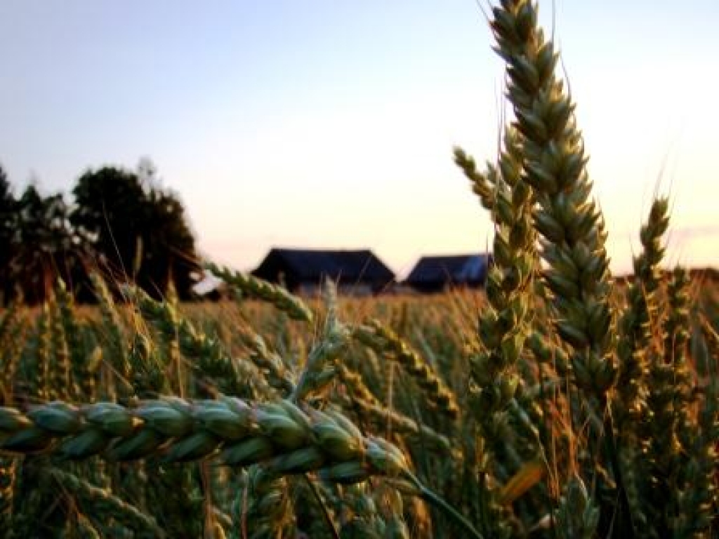 Attēlam ir ilustratīva nozīme.
Autors: www.zemgale.lv