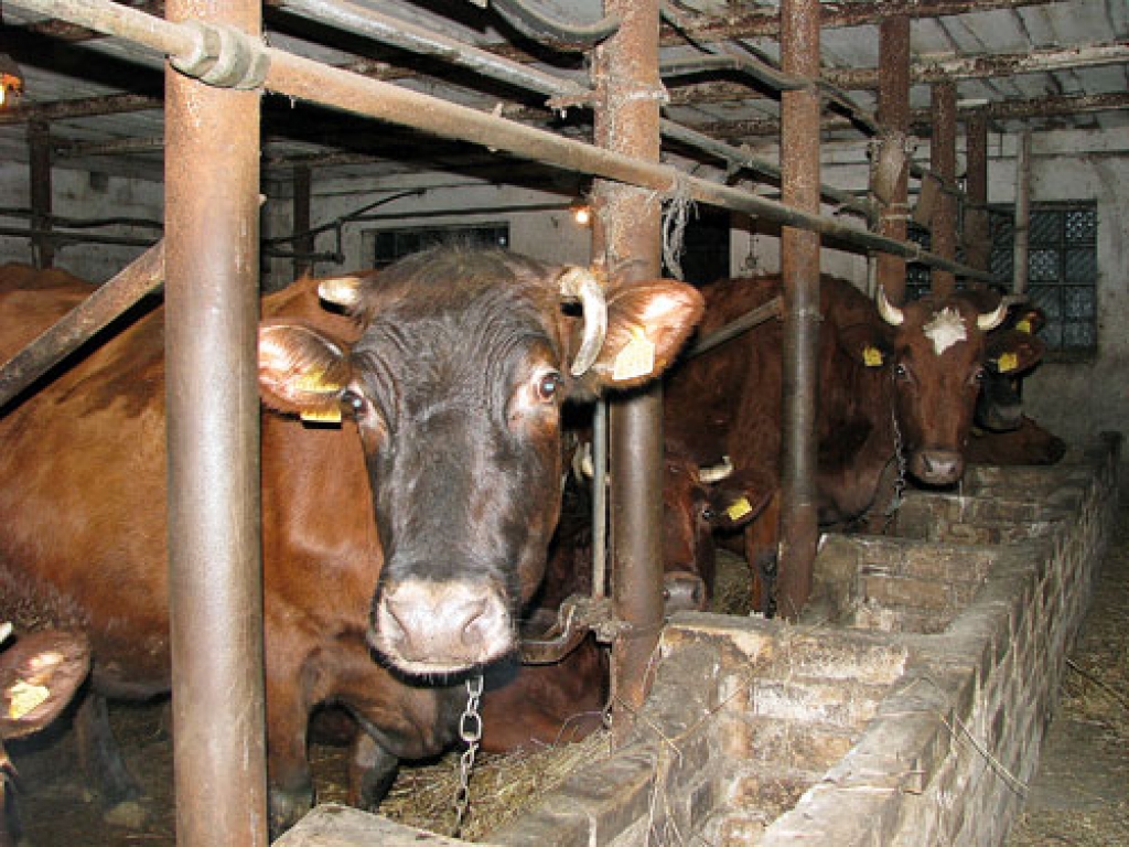 Autors: no «Bauskas Dzīves» arhīva