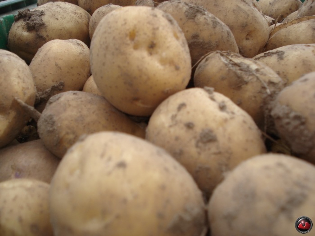 Fotoattēlam ilustratīva nozīme.