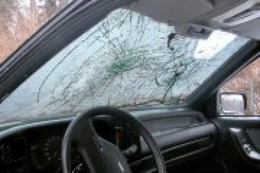 Fotoattēlam ilustratīva nozīme.
Autors: www.ogrenet.lv