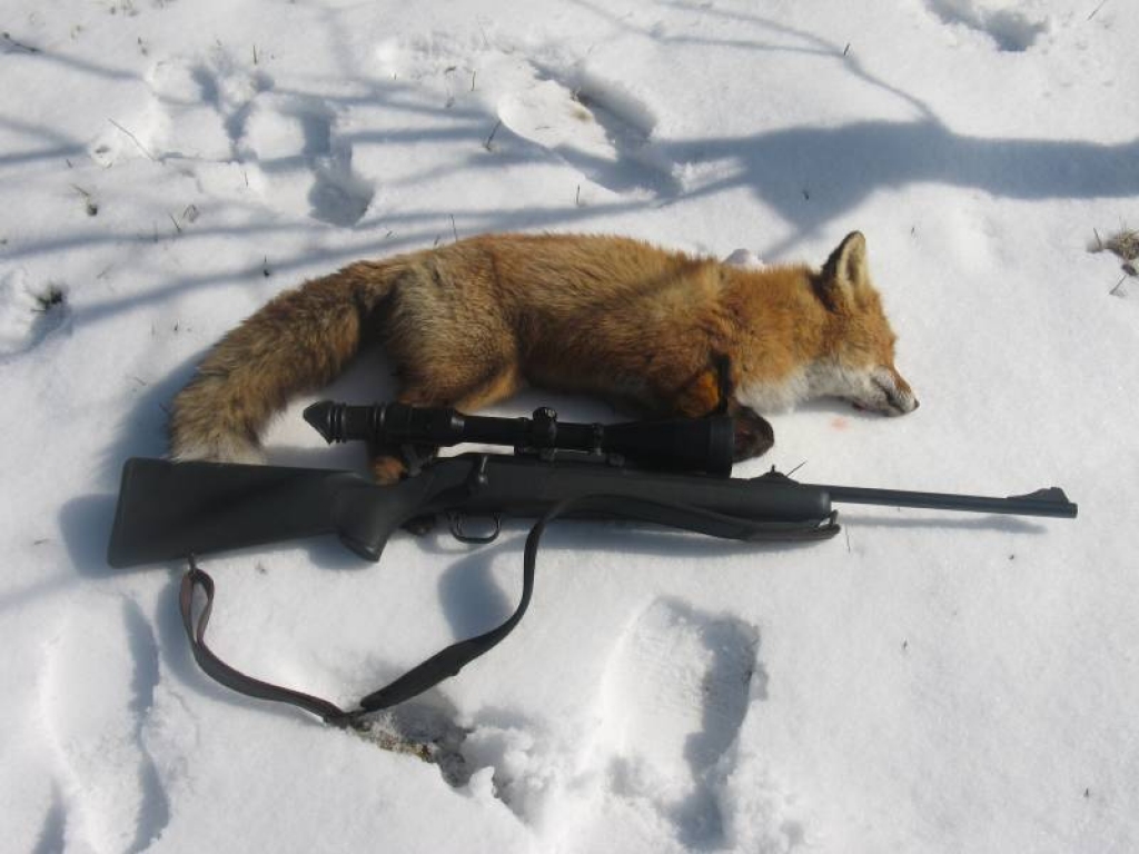 Fotoattēlam ilustratīva nozīme.
Autors: www.medniekiem.lv