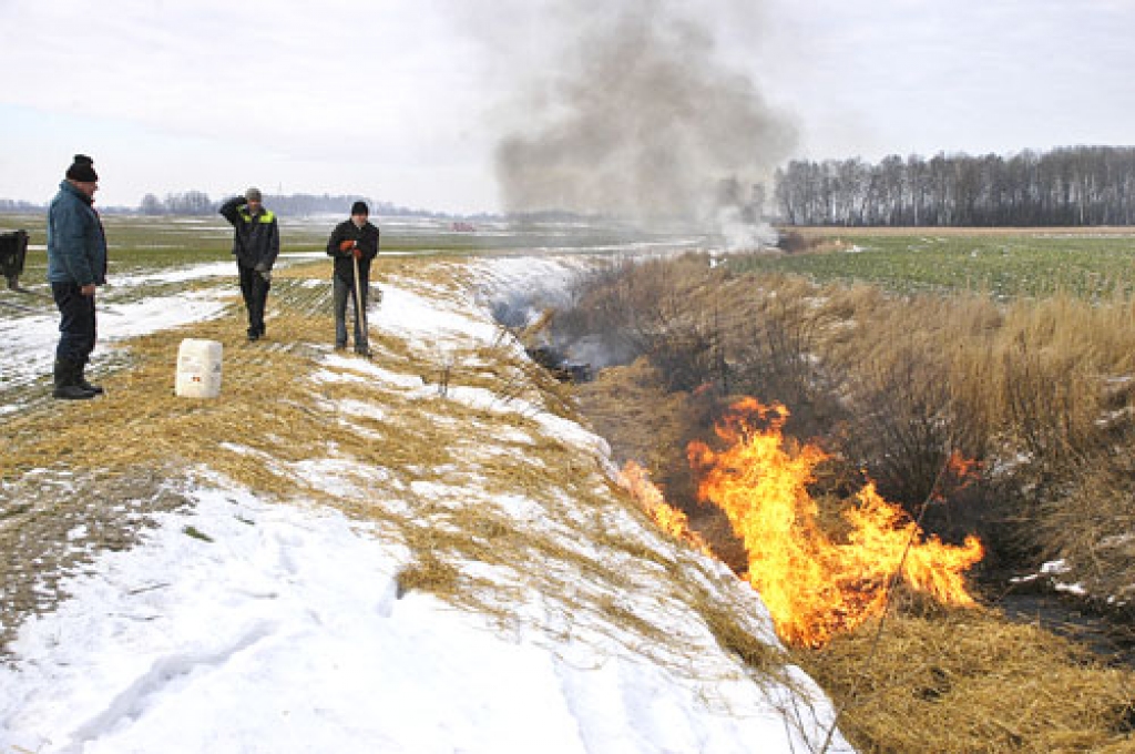 Piesārņojuma seku likvidēšana Ārcē tiek veikta pašu spēkiem, jo specializētas firmas nevar iesaistīt līdzekļu trūkuma dēļ. 