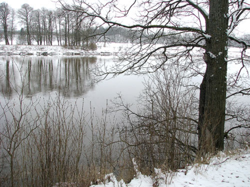  Netālu no Mežotnes pils tiek veikti Lielupes ūdens līmeņa mērījumi.
Autors: Juris Iļņickis