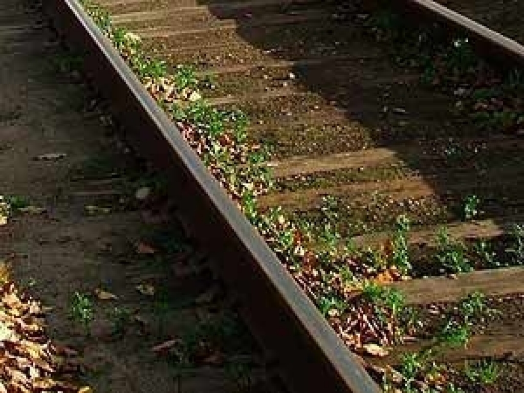 Iecavas stacijā pie pieminekļa plkst. 17.30 komunistiskā genocīda upuru piemiņas brīdis.
Autors: www.apollo.lv