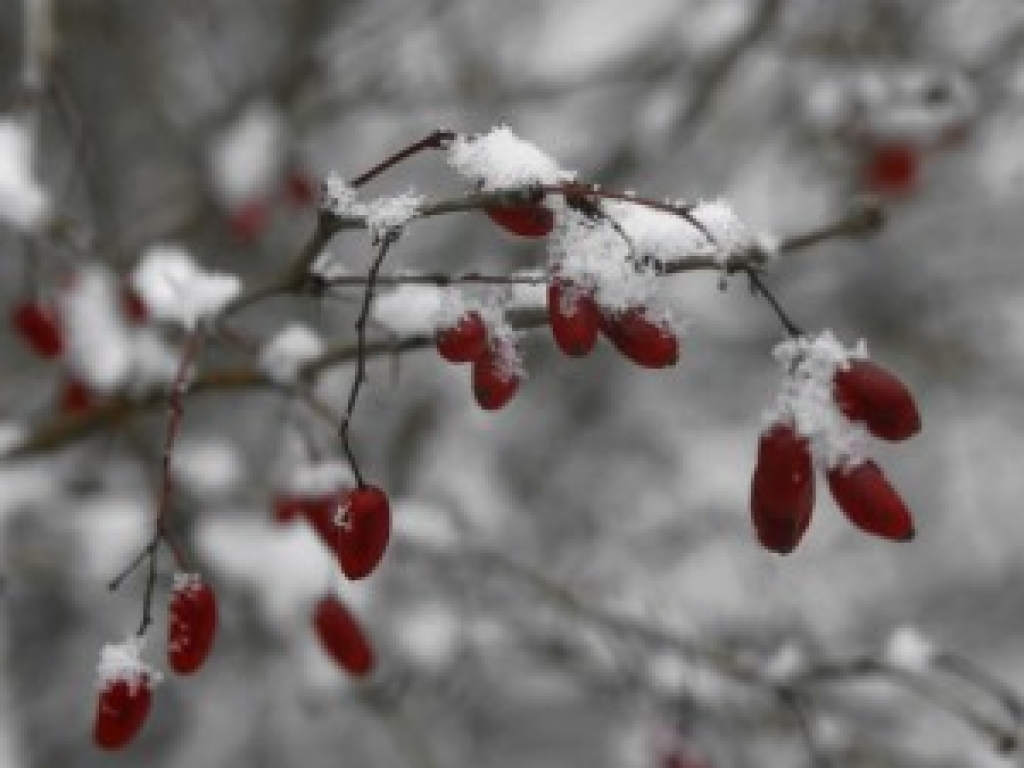 Autors: www.apollo.lv