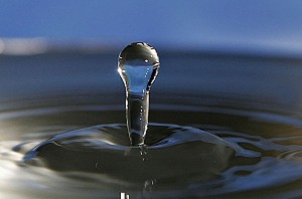 Autors: priede.bf.lu.lv