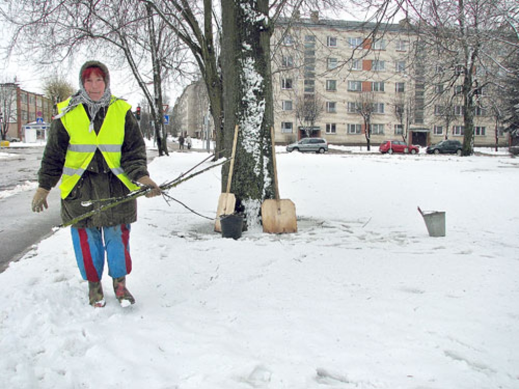 Ļudai Dauģītei Korfa dārzā Bauskā šonedēļ bija vairāk darba slapjā sniega un vēja brāzmu dēļ. Sētniecei nācās ne tikai slapjo, smago sniegu tīrīt, bet arī uzlasīt vēja nolauztos koku zarus.
Autors: Juris Iļņickis