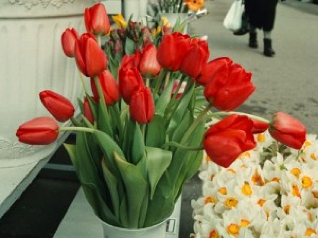 Autors: www.apollo.lv