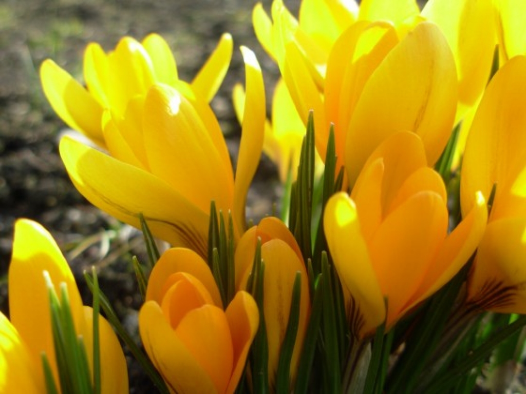 Autors: www.delfi.lv