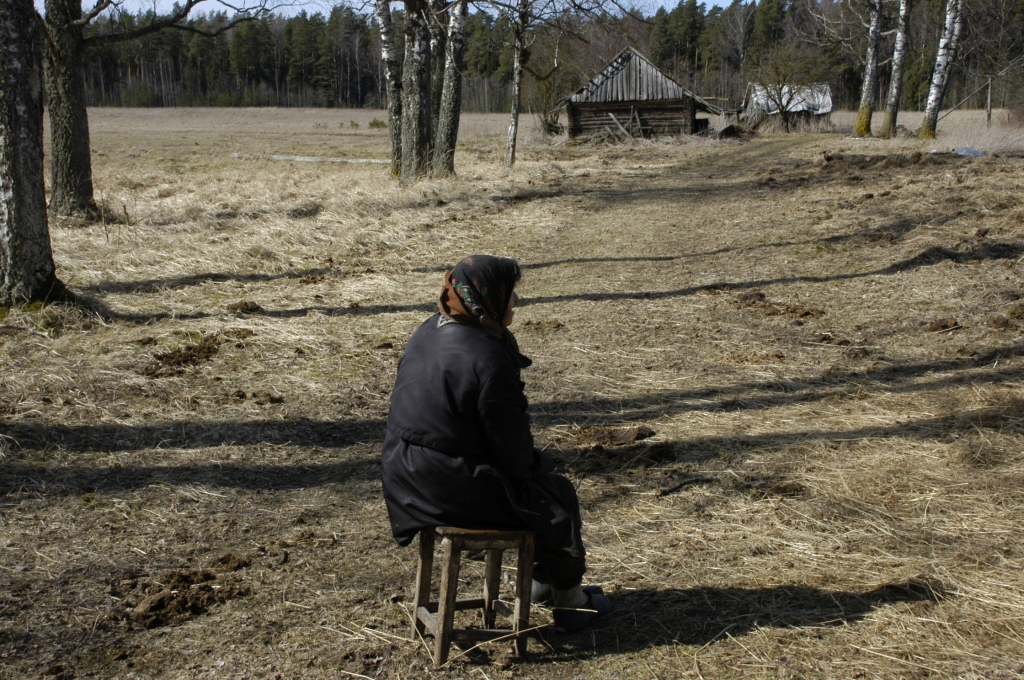Vientuļās, nevarīgās sirmgalves aprūpē ir divas govis, bullis un teļš. Gotiņas slaukt nevajagot, pienu dzerot teliņš.
Autors: Ivars Bogdanovs