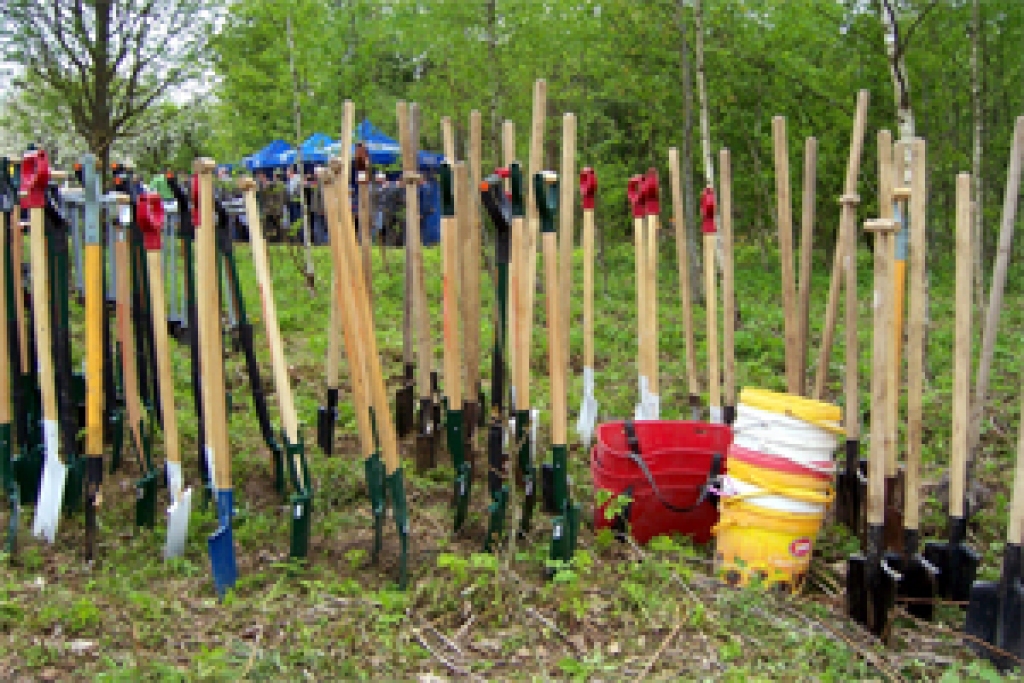 Autors: www.tvnet.lv