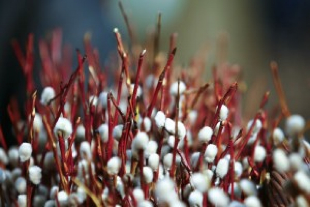 Fotoattēlam ilustratīva nozīme.
Autors: www.easyget.lv