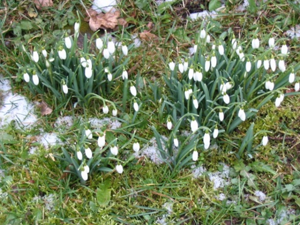 Fotoattēlam ilustratīva nozīme.