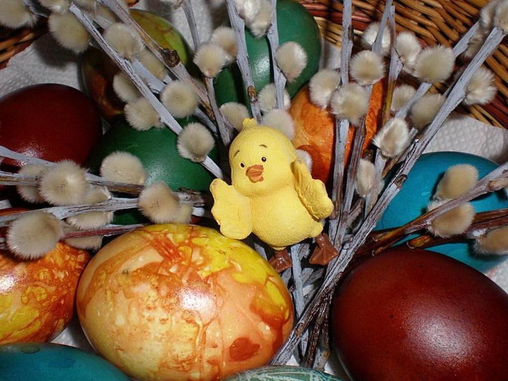 Fotoattēlam ilustratīva nozīme.
Autors: www.poga.lv