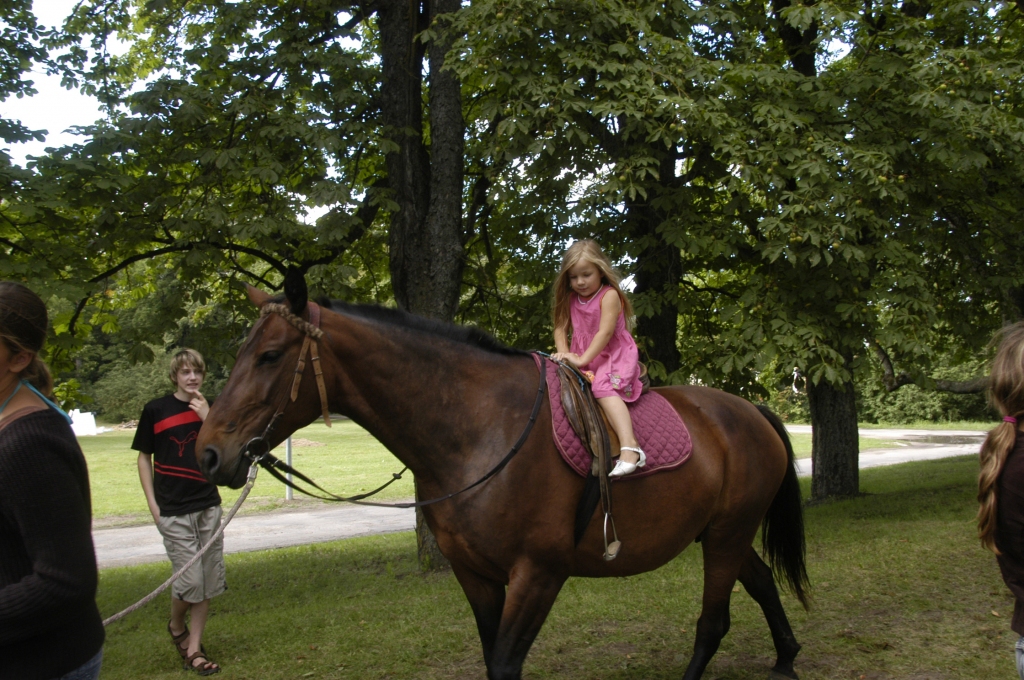 Mazajiem iecavniekiem izjādes ar zirgiem tikušas piedāvātas svētkos arī iepriekšējos gados, tas sagādājis prieku.
Autors: no «Bauskas Dzīves» arhīva