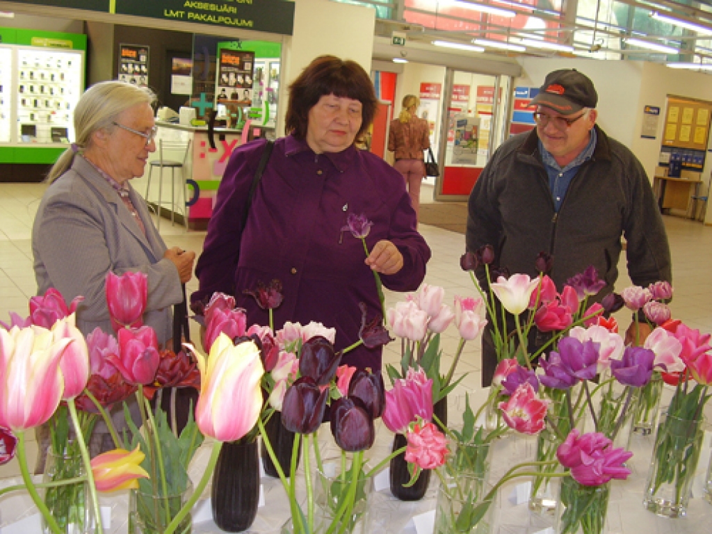 Tulpju krāsu un formu prieku bauda baušķenieki.
Autors: Inga Muižniece