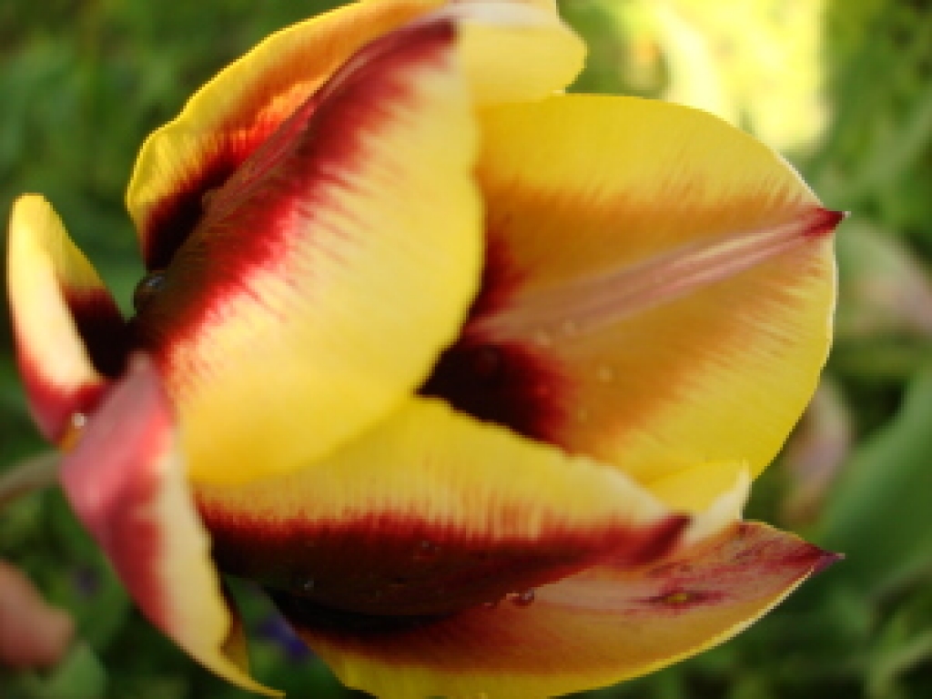 Autors: no «Bauskas Dzīves» arhīva