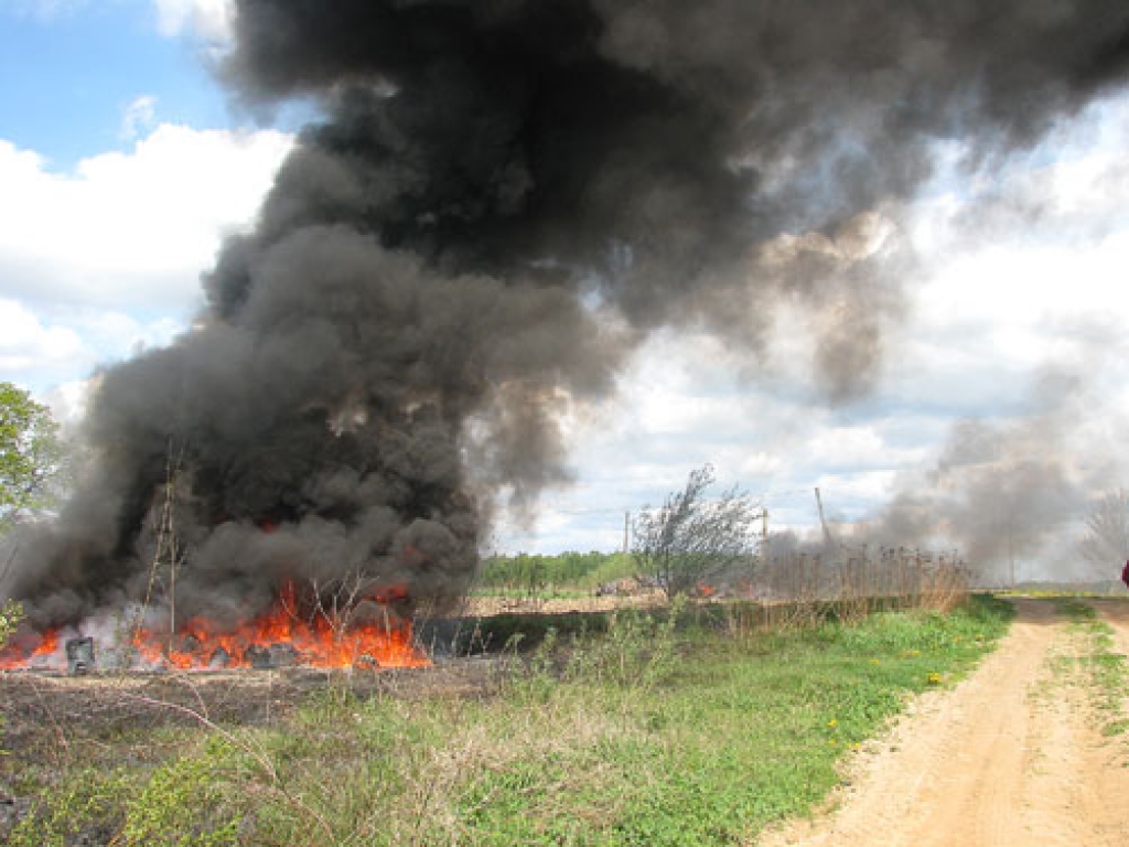 Ellīgi smirdot, ar lielu liesmu Codes pagasta Plēškalnos 11. maijā tika dedzināti dabai bīstamie atkritumi.
Autors: Juris Iļņickis