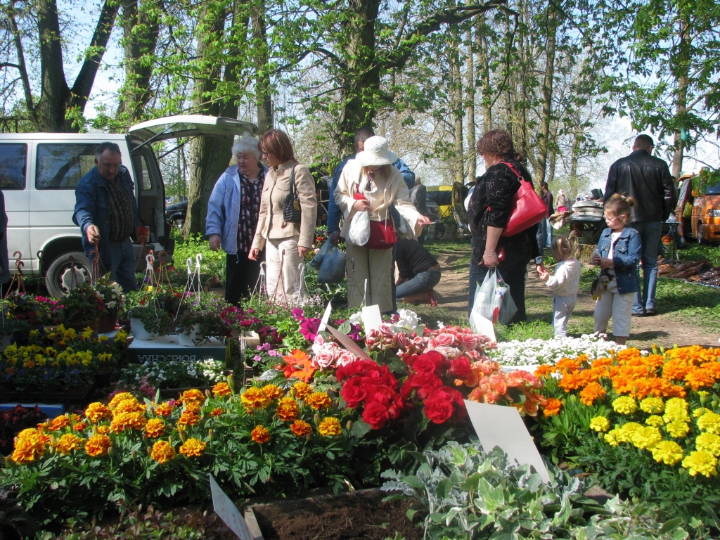 Bērsteles bazārā 4. maijā bija plašs ziedu piedāvājums.
Autors: Juris Iļņickis