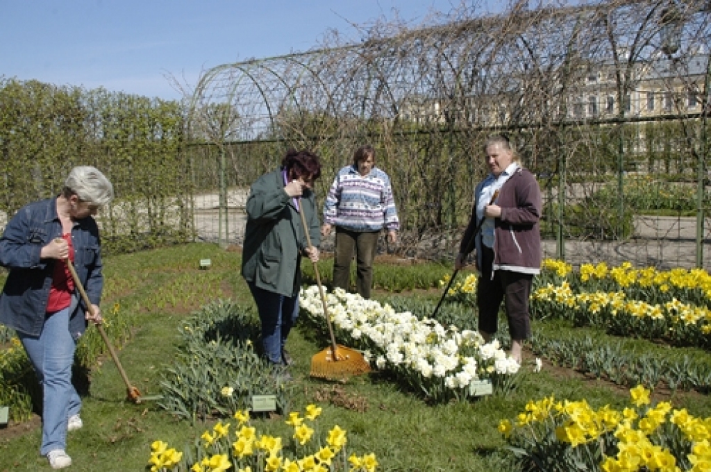 Rundāles pils čaklās parka kopējas mēdz saukt par puķu meitenēm. Arī viņas – Iveta Daneberga (no kreisās), Valentīna Gorkunova, Ilzīte Enkmane un Irina Kapteine – ir gandarītas par palīgu ierašanos.
Autors: Ivars Bogdanovs