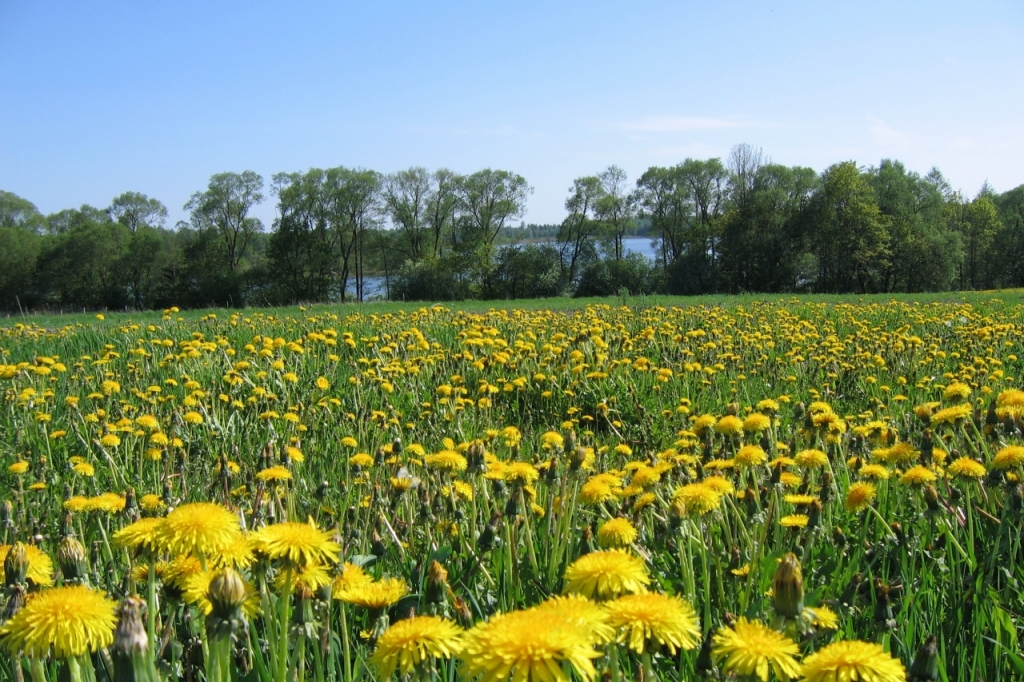 Fotoattēlam ilustratīva nozīme.
Autors: www.poga.lv