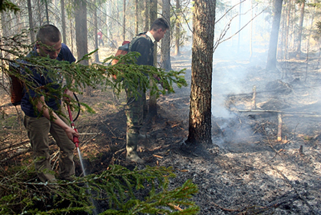Fotoattēlam ilustratīva nozīme.