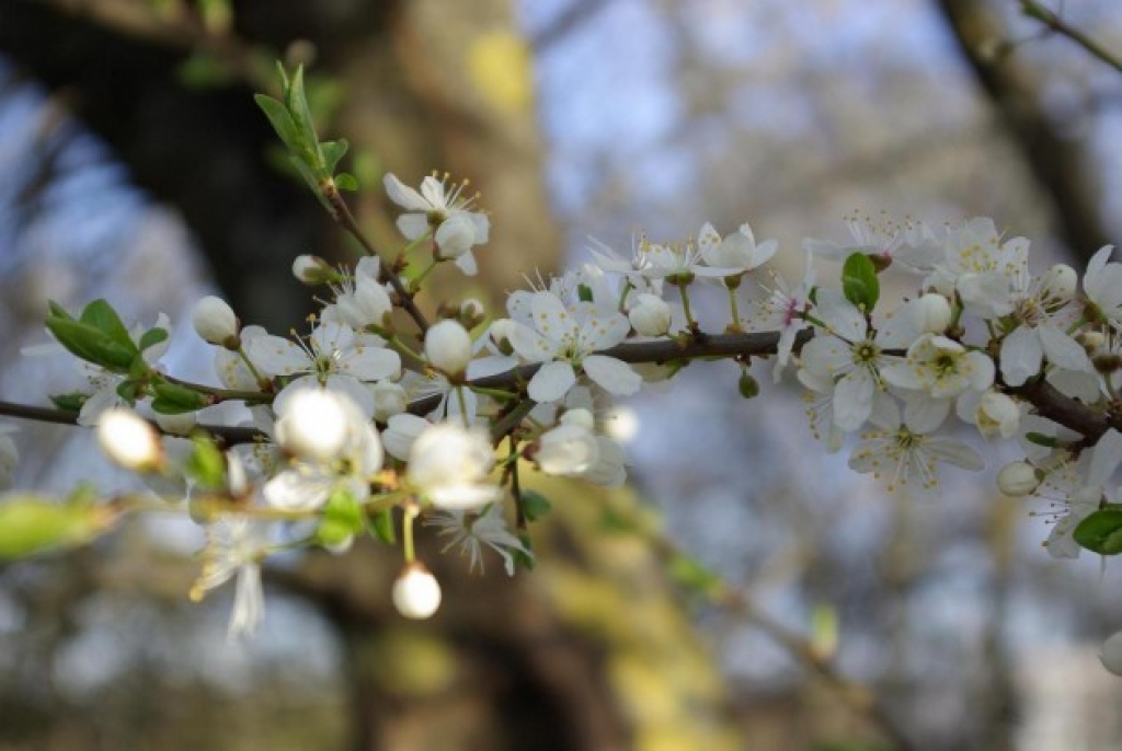 Autors: www.delfi.lv