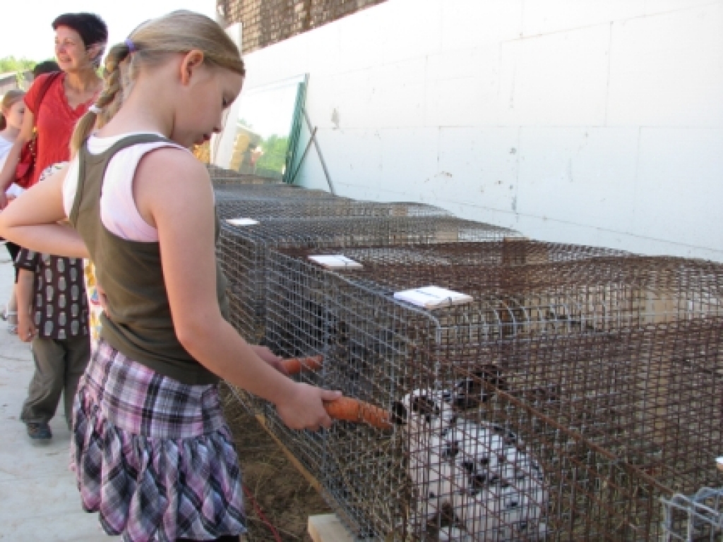 Vecumnieku pagasta «Birzēs» 30. maijā atklāja neparastu objektu – trušu pilsētiņu. Tās saimnieks Ojārs Narvils jutās samulsis, ka viņa iecere nokļuvusi tik plašā uzmanības lokā. Ojāra Narvila vēlēšanās – lai visas paaudzes jūt to, ko dod...