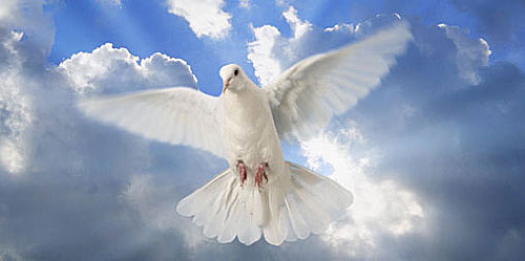 Dūja – Svētā Gara pazīstamākais simbols.