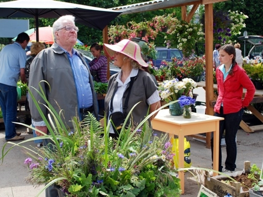 Zenta Biķerniece (vidū) Jāņu zāles vākusi Ceraukstes pagastā, bet Lolita Pavasare (no labās) tās atvedusi no Ozolaines. 
Autors: Uldis Varnevičs