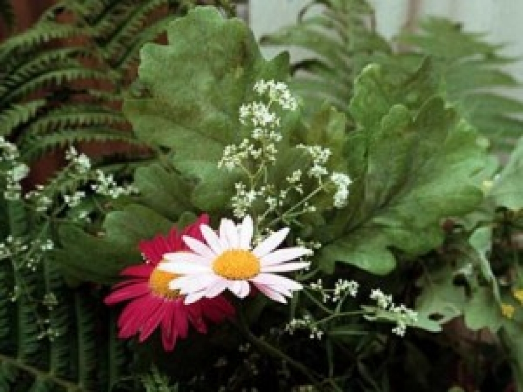 Autors: no www.apollo.lv