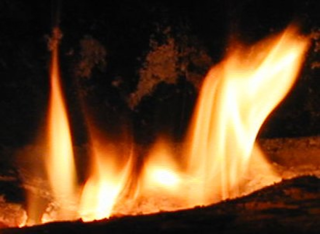 Autors: no «Bauskas Dzīves» arhīva