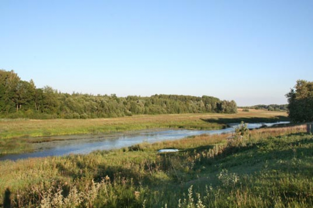 Mūsa Gailīšu pagastā.
Autors: no «Bauskas Dzīves» arhīva