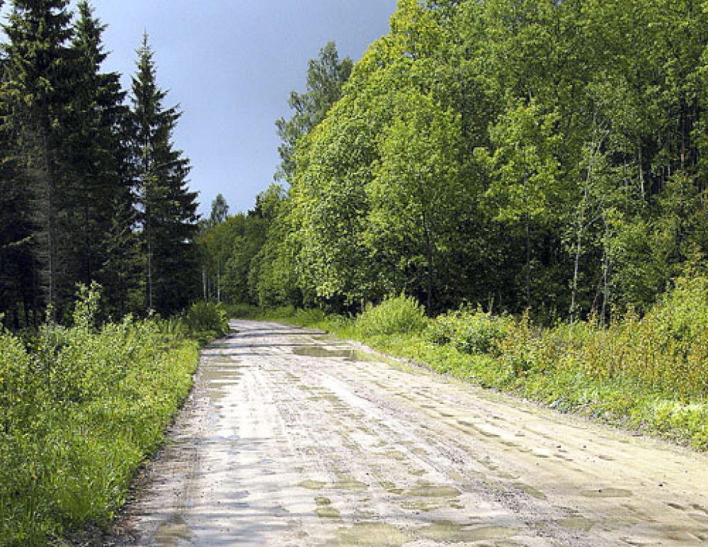 Attēlam ir ilustratīva nozīme.
Autors: no «Bauskas Dzīves» arhīva