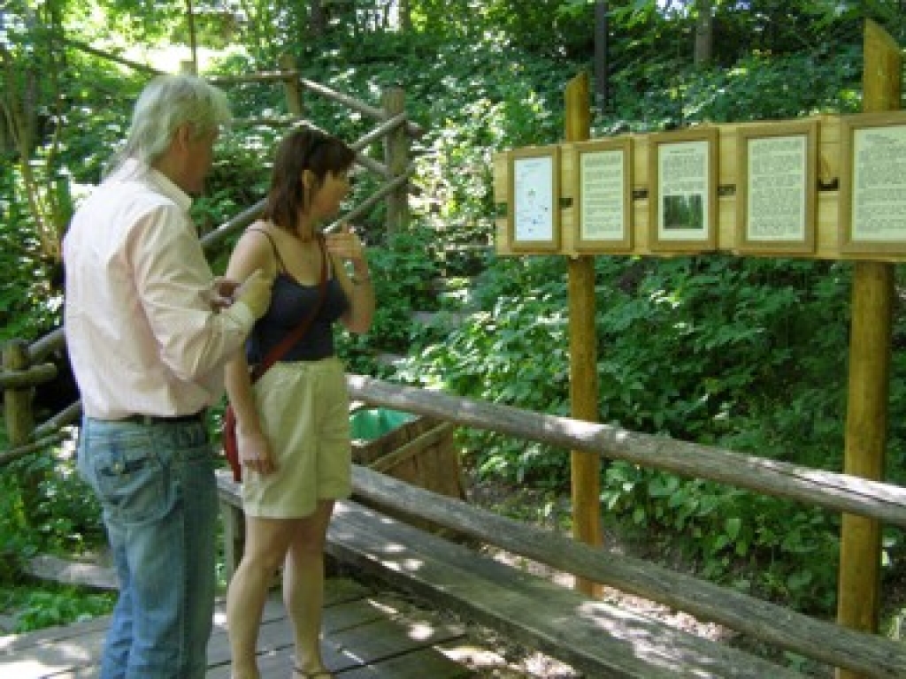 Attēlam ilustratīva nozīme
Autors: www.apollo.lv