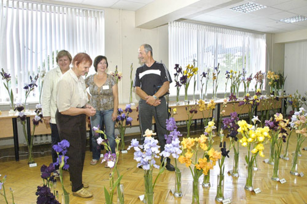 Nīzeriete Ilga Viņķele (no kreisās) kopā ar Dzintru Jurevicu un Guntu Jēkabsoni baušķeniekam Pēterim Lambergam raksturo lielziedu īrisu šķirņu īpatnības.