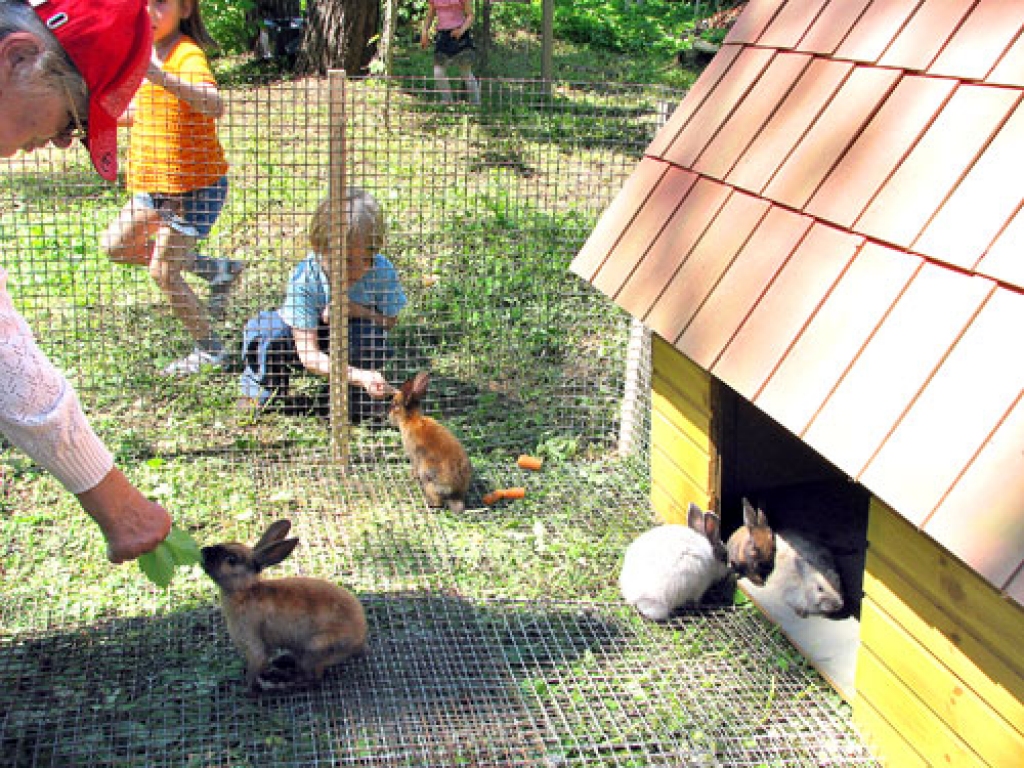 Trušu namiņi ir tik neparasti, un garauši īpašu prieku sagādā bērniem.
