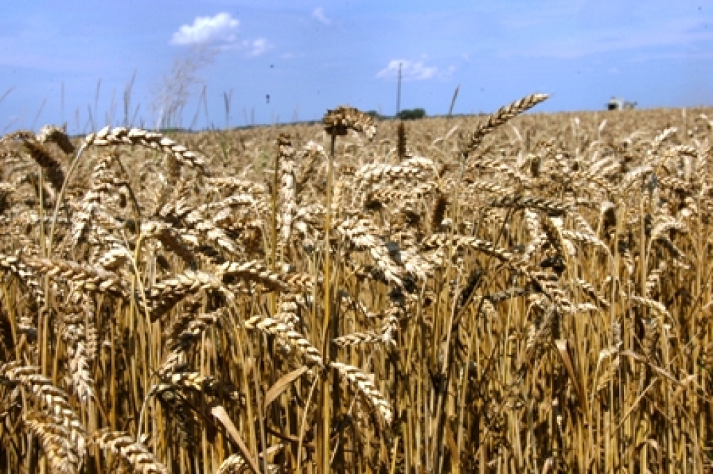 Autors: no «Bauskas Dzīves» arhīva