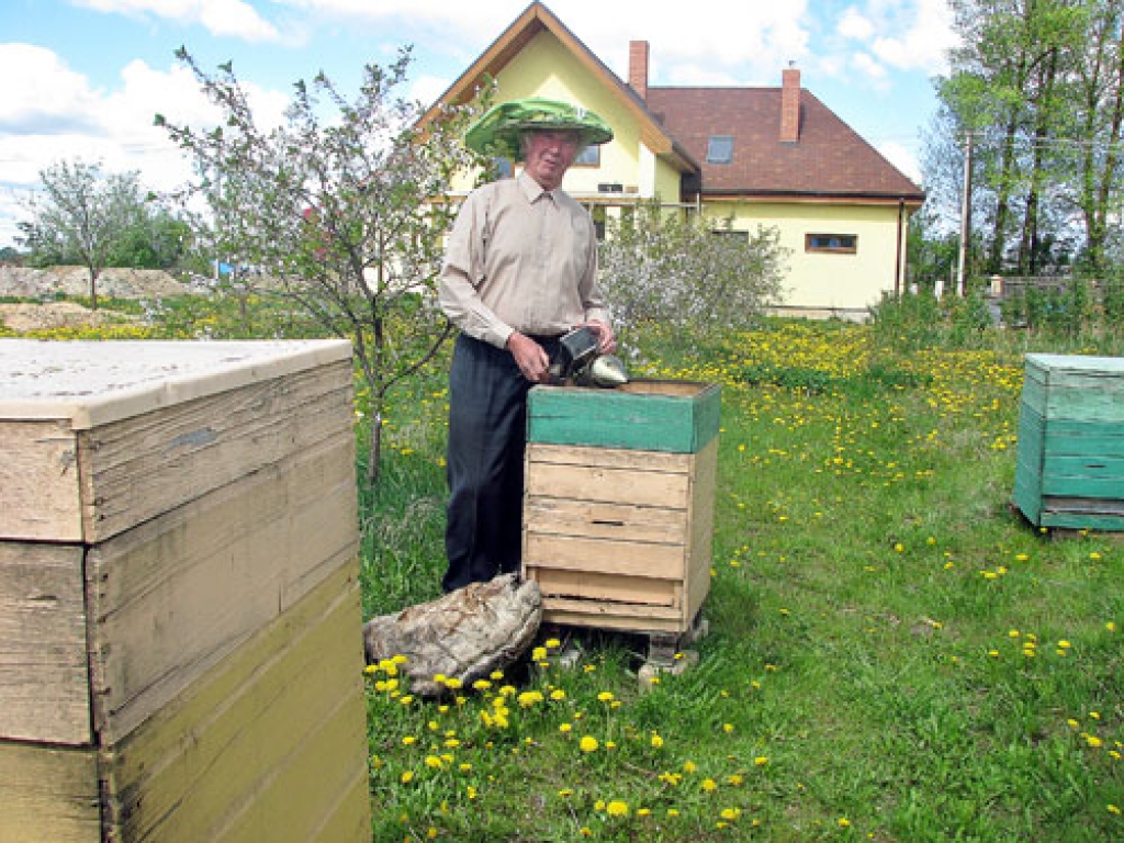 Gunārs Smalganovičs pie savām bitēm. Viņš par bitenieci izaudzinājis arī savu meitu Zitu.
Autors: no «Bauskas Dzīves» arhīva