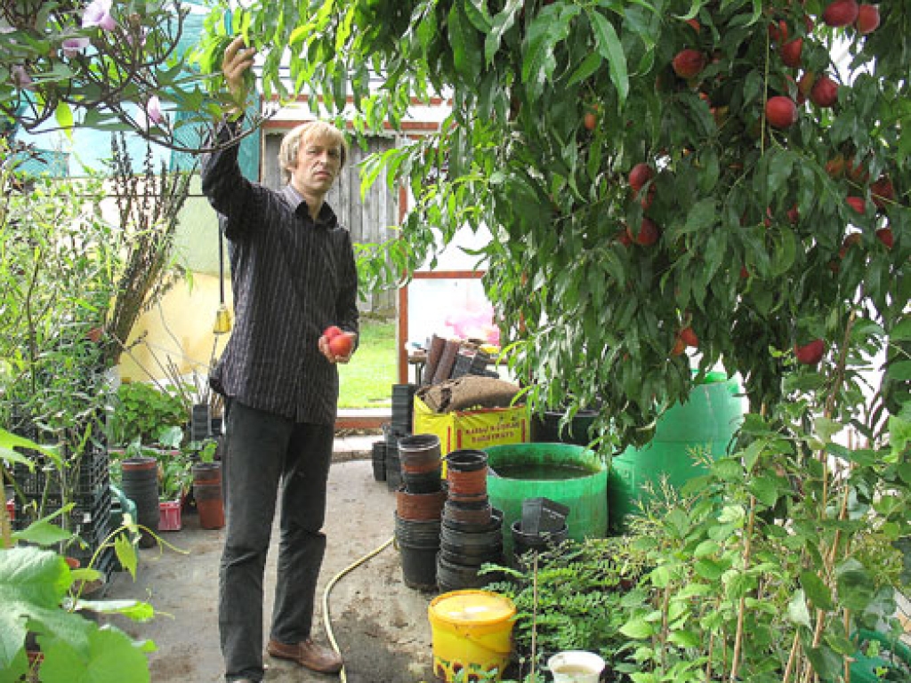 Košumaugu audzētājs Juris Strods.
Autors: Ivars Bogdanovs