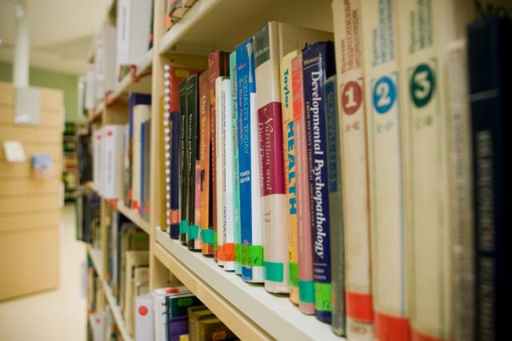 Attēlam ilustratīva nozīme.
Autors: no «Bauskas Dzīves» arhīva.